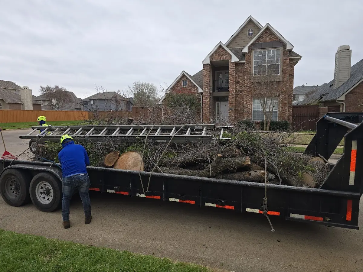 Expert Lot Clearing with proper safety equipment in Teutopolis
